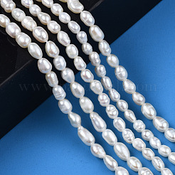 Natural Cultured Freshwater Pearl Beads Strands&nbsp;PEAR-N012-03D