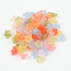 Mixed Color Frosted Transparent Acrylic Flower Beads&nbsp;X-M-PL554