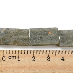 Natural Labradorite Beads Strands&nbsp;G-M420-G05-01