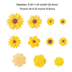 Resin Cabochons&nbsp;CRES-CJC0005-01B