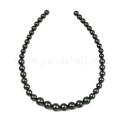 Electroplated Shell Pearl Graduated Beads Strands&nbsp;BSHE-C011-04-02