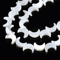 Natural Trochid Shell/Trochus Shell Beads Strands&nbsp;SSHEL-S266-025A-01