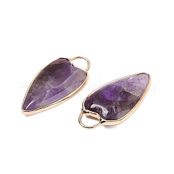 Natural Amethyst Pendants&nbsp;G-G193-02G-04