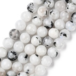 Natural Rainbow Moonstone Beads Strands&nbsp;G-Q1001-A05-03