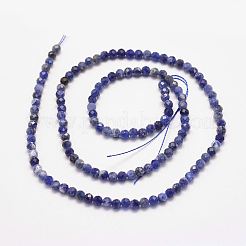 Natural Sodalite Bead Strands&nbsp;X-G-P279-58-3mm