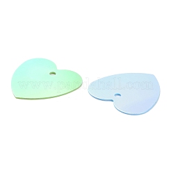 PVC Paillette/Sequin Pendants&nbsp;PVC-F003-05M
