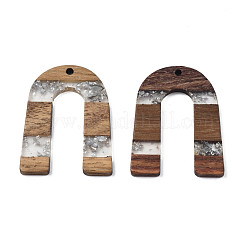 Transparent Resin & Waxed Walnut Wood Pendants&nbsp;RESI-Q211-02B