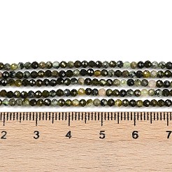 Natural Prehnite Beads Strands&nbsp;G-L628-B11-2mm