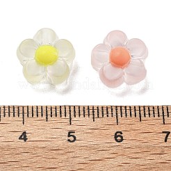 Frosted Transparent Acrylic Beads&nbsp;OACR-A032-12A