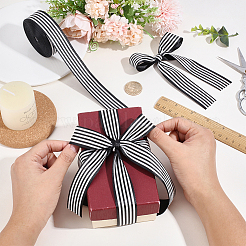 Polyester Stripe Ribbon&nbsp;OCOR-WH0078-507B