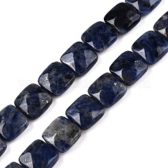 Natural Sodalite Beads Strands&nbsp;G-T138-169