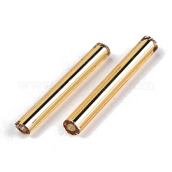 Electroplate Glass Bugle Beads&nbsp;SEED-S043-02C-01