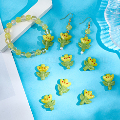 12Pcs Handmade Lampwork Beads&nbsp;LAMP-PA0001-01