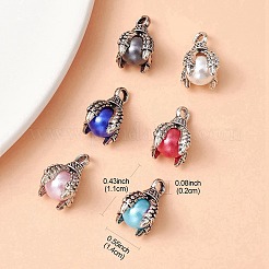 6 Bags 6 Colors Tibetan Style Alloy Charms&nbsp;FIND-YW0004-13
