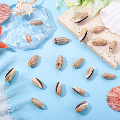 50Pcs Natural Spiral Shell Pendants&nbsp;SSHEL-CW0001-01