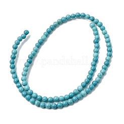 Dyed Natural Magnesite Beads Strands&nbsp;G-A323-A01-4mm