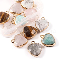 12Pcs 6 Style Electroplate Natural Gemstone Pendants&nbsp;G-LS0002-09