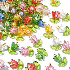 90Pcs 9 Colors Acrylic Lampwork Pendants&nbsp;PALLOY-CJ00048