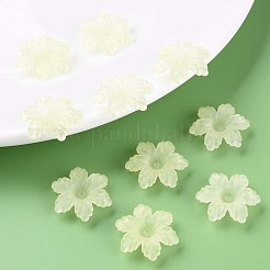 Transparent Acrylic Beads&nbsp;MACR-S373-117-D03