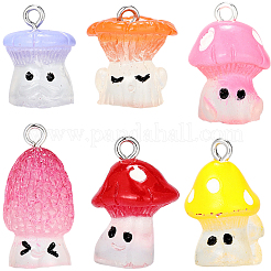 24Pcs 6 Styles Resin Pendants with Platinum Tone Iron Loops&nbsp;RESI-BM0001-10