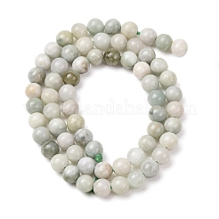 Natural Myanmar Jade/Burmese Jade Beads Strands&nbsp;G-D0001-08-6mm-01
