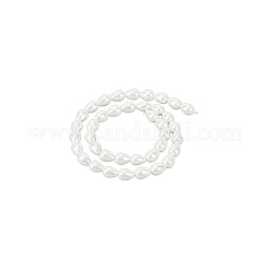 1 Strand Polished Shell Pearl Beads Strands&nbsp;BSHE-NB0001-32