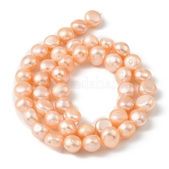 Natural Cultured Freshwater Pearl Beads Strands&nbsp;PEAR-P064-19J-01A