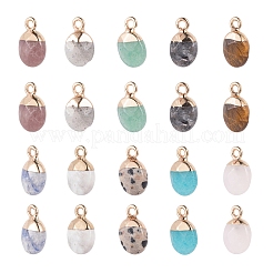 10Pcs 10 Style Natural Gemstone Charms&nbsp;G-LS0002-15