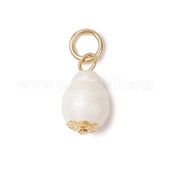 Natural Freshwater Pearl Pendants&nbsp;PALLOY-JF03398