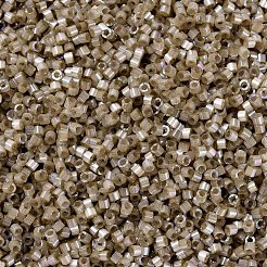 MIYUKI Delica Beads&nbsp;SEED-JP0008-DB1862