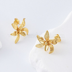 304 Stainless Steel Stud Earrings for Women&nbsp;DB8476
