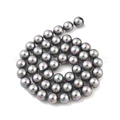 Shell Pearl Bead Strands&nbsp;BSHE-L025-07-8mm