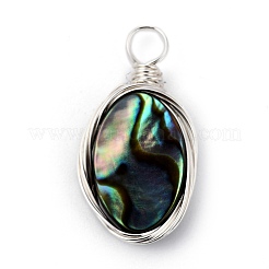 Natural Abalone Shell/Paua Shell Pendants&nbsp;PALLOY-JF00457-04