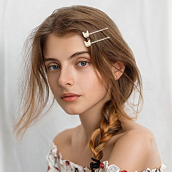 6 Bags 6 Styles Zinc Alloy Hair Bobby Pins&nbsp;PHAR-SP0001-01A