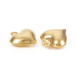 304 Stainless Steel Charms&nbsp;STAS-I149-02G