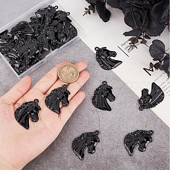 30Pcs Alloy Pendents&nbsp;PALLOY-SC0004-09