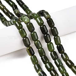 Natural Canadian Jade Beads Strands&nbsp;G-G980-49A