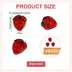 30Pcs Handmade Lampwork Beads&nbsp;LAMP-PH0001-51
