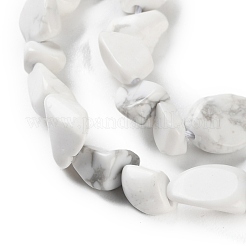 Natural Howlite Beads Strands&nbsp;G-P497-01C-64