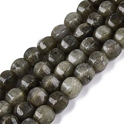 Natural Labradorite Beads Strands&nbsp;G-Q608-08A-08