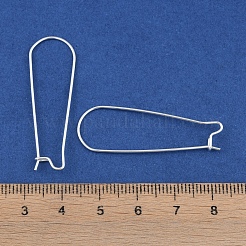 304 Stainless Steel Hoop Earring Findings&nbsp;LS-STAS-P223-01S-05
