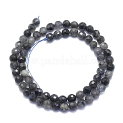 Natural Iolite Beads Strands&nbsp;G-K310-A15-6mm