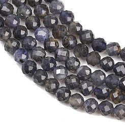 Natural Iolite Beads Strands&nbsp;G-RM250101-D7