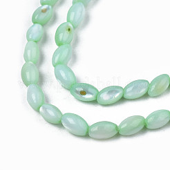 Natural Freshwater Shell Beads Strands&nbsp;SHEL-N003-25-B03