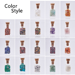 19Pcs Various Gemstone No Hole Chips in Bottles&nbsp;G-PH0034-50