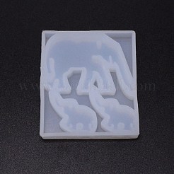 DIY Pendants Silicone Molds&nbsp;DIY-TAC0013-43