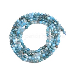 Natural Apatite Beads Strands&nbsp;G-RM250104-A2