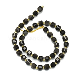 Natural Silver Obsidian Beads Strands&nbsp;G-I376-D38-01