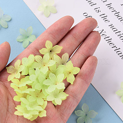 Frosted Acrylic Bead Caps&nbsp;MACR-S371-05A-728