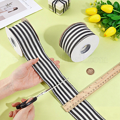 Polyester Ribbon&nbsp;OCOR-WH0111-173